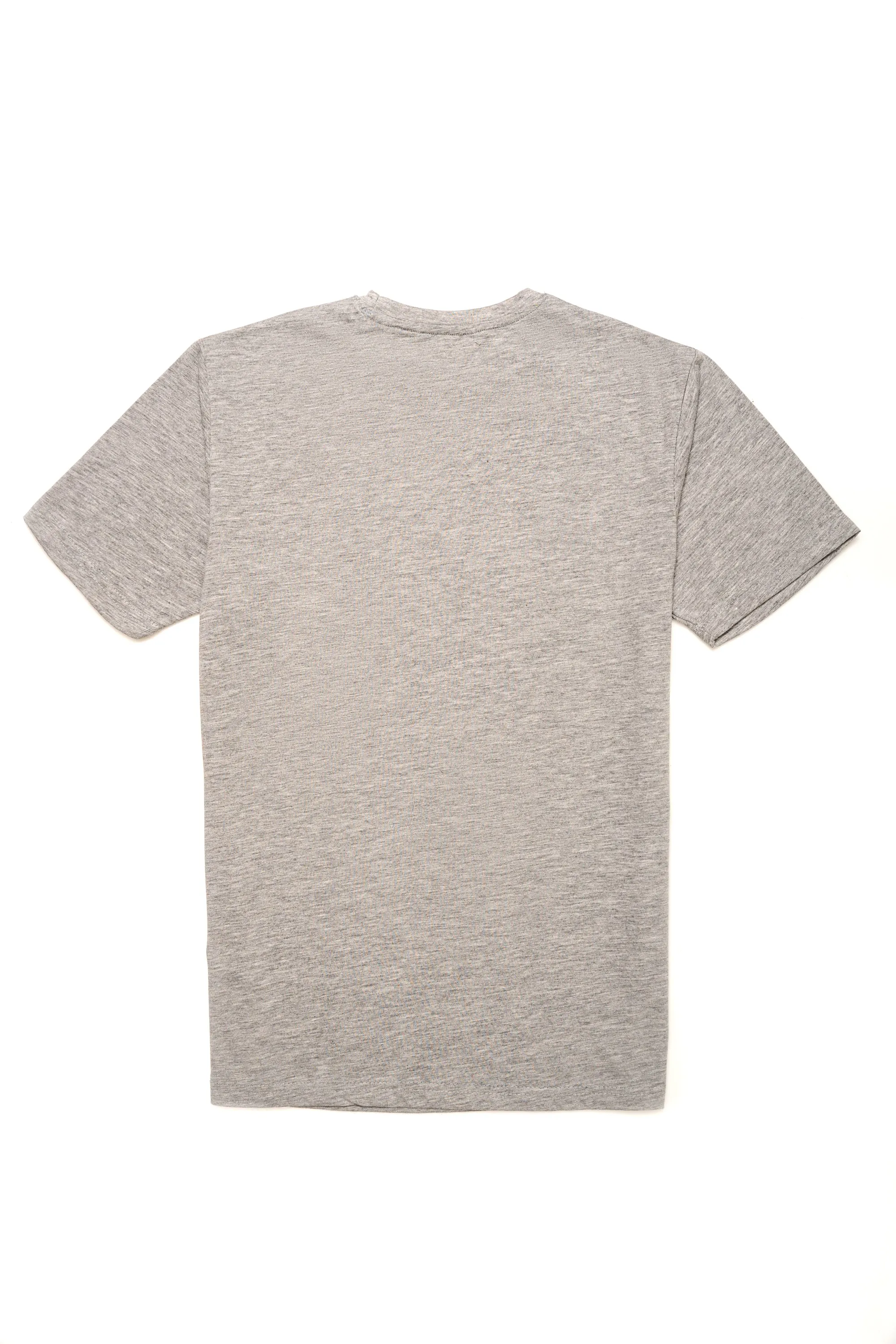 BASIC T-SHIRT HYDER GREY